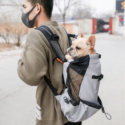 PetsAreLife Breathable Dog Backpack Gray M