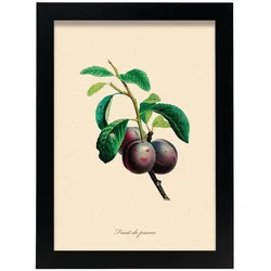 POSTER Pflaume A4 Schwarzer Rahmen