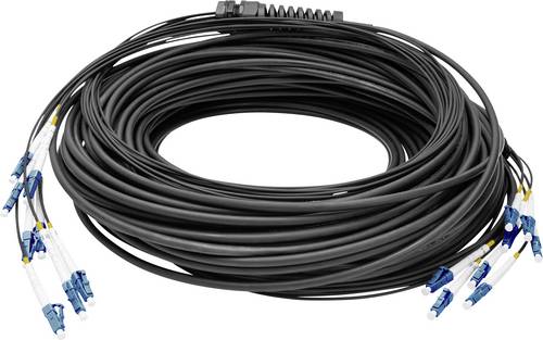 Digitus DK-2A338U050BK-BBB Glasfaser LWL Anschlusskabel 50m Schwarz [8x LC/UPC-Stecker - 8x LC/UPC-Stecker] 9/125 µ Singlemode OS2
