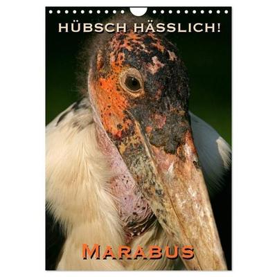Hübsch hässlich! Marabus (Wandkalender 2027 DIN A4 hoch), CALVENDO Monatskalender