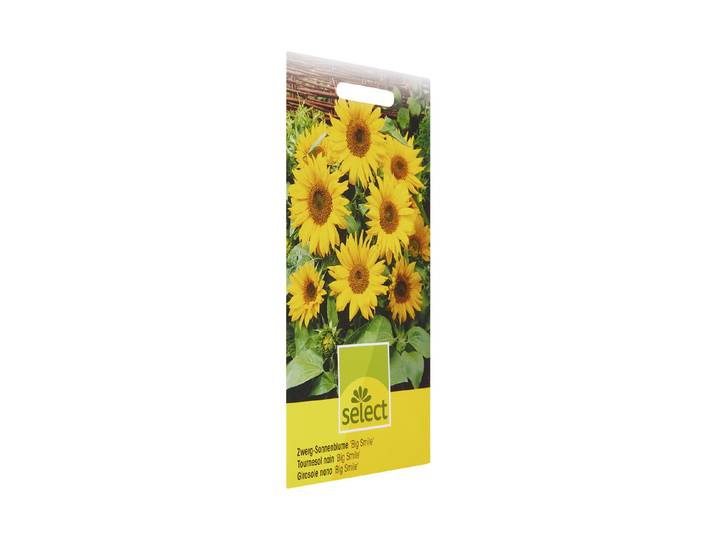 Select Sonnenblume Big Smile