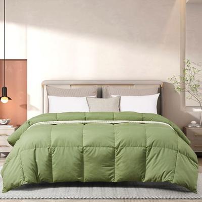 Blue Ridge Home Fashions, Inc. Beautyrest Feather Down Comforter, Twin, Sage