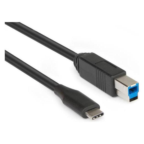 Hamlet USB 3.1 Typ C auf USB 3.0 Typ B Stecker Adapterkabel 1 Meter (1 m, USB 3.2 Gen 2) (XCTC-U3B100)