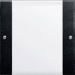 GIRA Wippe Schwarz 2131005 1 St.