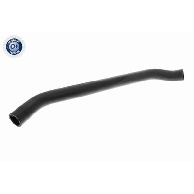 Vaico Kühlerschlauch [Hersteller-Nr. V10-8856] für Audi