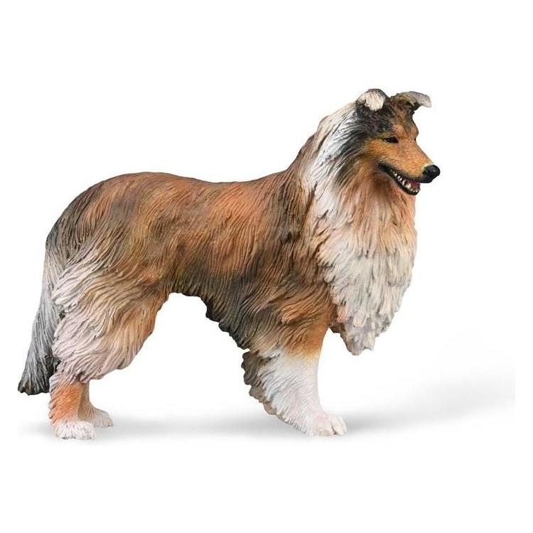 Collecta Schottischer Schäferhund, langhaarig (43371819)