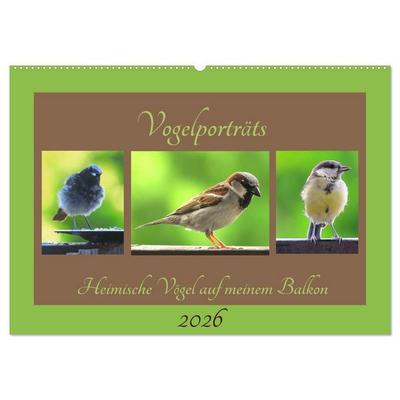 Vogelporträts - Heimische Vögel auf meinem Balkon (Wandkalender 2026 DIN A2 quer), CALVENDO Monatskalender