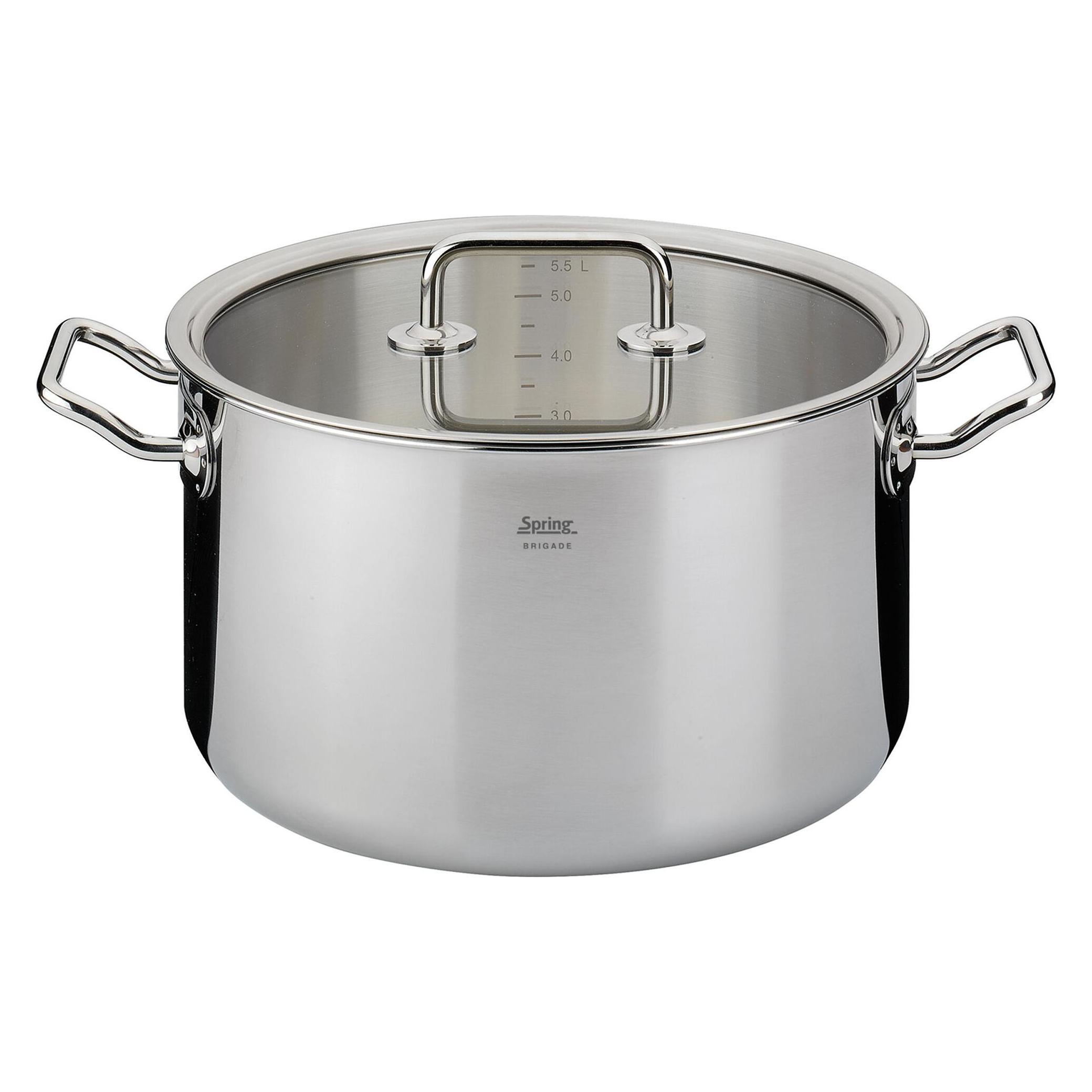 Spring Fleischtopf BRIGADE BASIC 24 cm 6,5 Liter mit Glasdeckel INDUKTION (Kochtopf, Aluminium, Edelstahl, 24 x 14 cm) (04 8084 06 24)