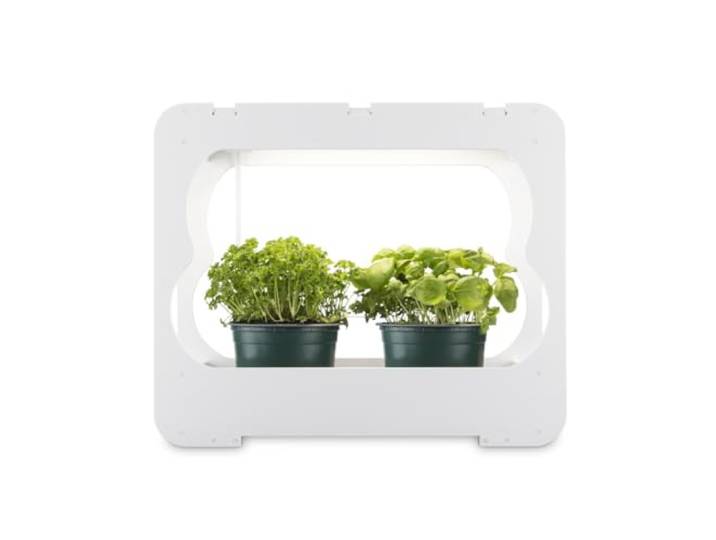 Xavax LED Smart Garden Home Gewächshaus Box klein mit Lampe für Balkon, als Anzuchtkasten für Hochbeet oder Outdoor Garten Pflanzen, Mini Gewächshaus mit Wachstumslampen für Pflanzen 3 Töpfe Ø 10 cm
