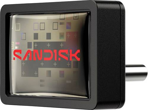 SanDisk Extreme Fit USB 3.2 Type C 256GB USB-Stick 256GB Schwarz SDCZ530-256G-G46 USB-C (USB 3.2 Gen 1)