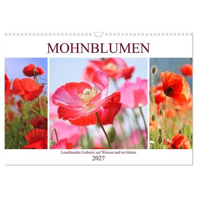 Mohnblumen. Leuchtender Liebreiz auf Wiesen und in Gärten (Wandkalender 2027 DIN A3 quer), CALVENDO Monatskalender