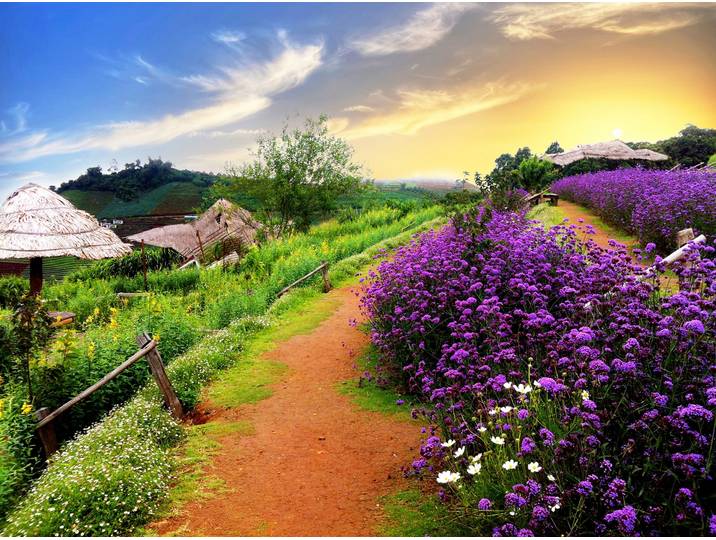 Fototapete PAPERMOON BUNTE BLUMEN-THAILAND PFLANZE DEKOR NATUR BLÜTE MUSTER , bunt, B:5m L:2,8m, Vlies, Tapeten, Fototapete