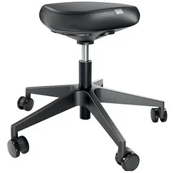 Leitz, Bürostuhl, Ergo Sitzhocker mit Rollen und Komfortsitz (46 - 59 cm)