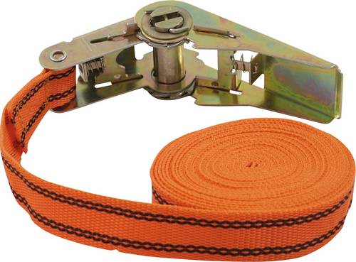 Petex 43192635 Einteiliger Spanngurt Zugkraft LC Niederzurren (einzeln/direkt)=125 daN (L x B) 5m x 25mm Ratsche EN 12195
