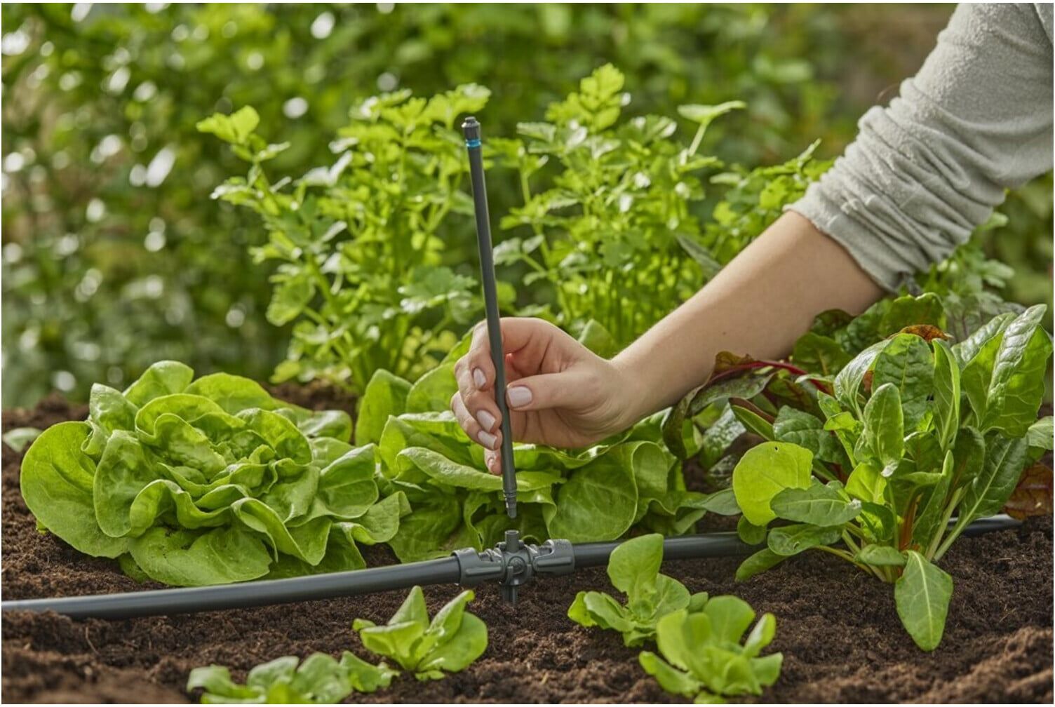 Gardena T-Stück für Sprühdüsen 13 mm (1/2") MDS Inhalt: 5 Stück (13206-20)