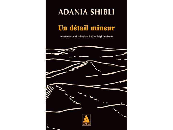 Un détail mineur (Poche)