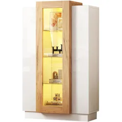 Vitrine LED Display Mit Acrylfront Hochglanz Bücherregal Stauraum Wohnzimmer Weiß Holzfarbe 74x40x120cm