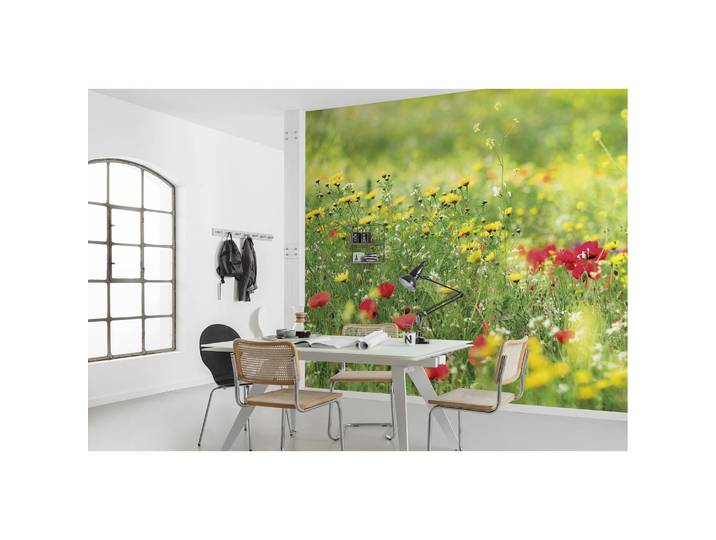 Papier peint intissé Prairie 450 x 280cm