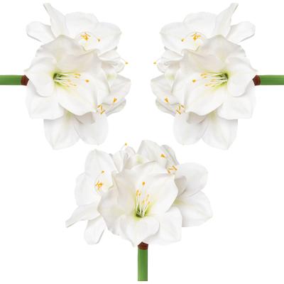 Winterliche Kunstpflanze CREATIV DECO "Weihnachtsdeko", weiß, H:56cm, Kunststoff, Polyester, Kunstpflanzen, üppige Blütenpracht, 3er-Set