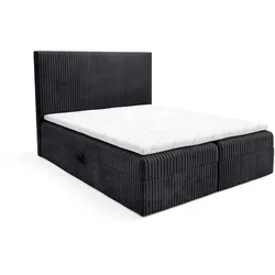 BOXBETT Arnau