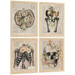 POSTER Set aus 4 Anatomie Drucke und mit Nieren Becken Knochen Hüfte Rippen Wirbelsäule Schädel Antiker Buch Stil Größe Leichter Holzrahmen A4