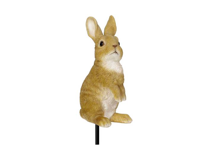 Pflanzstecker Kaninchen