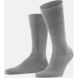 Socken Family Grau 39-42