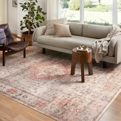 Alexander Home Meghan Distressed Vintage Area Rug