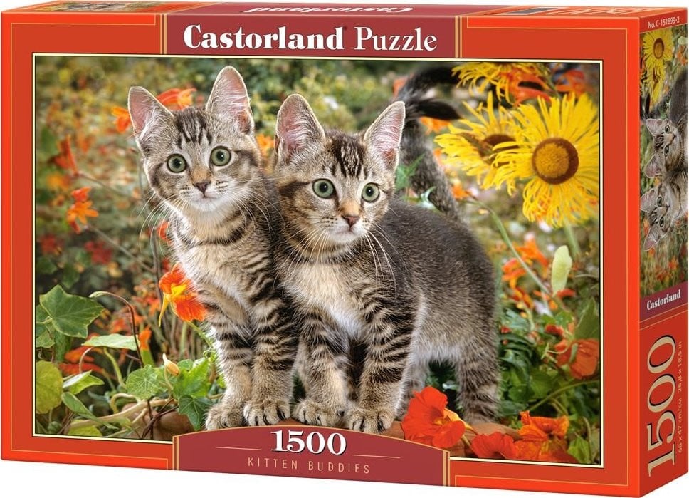 Castorland Puzzel Kitten Buddies 1500 stukjes