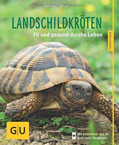 Hartmut Wilke - Landschildkröten: Fit und gesund durchs Leben - Preis vom 19.10.2026 19:33:35 h