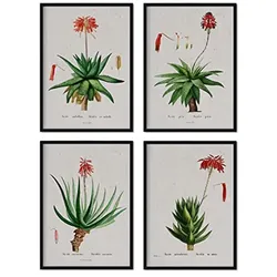 POSTER Set mit 4 mit rotem Blumenfilmen aus dem Künstler PierreJoseph Redouté A3 Rahmenlos