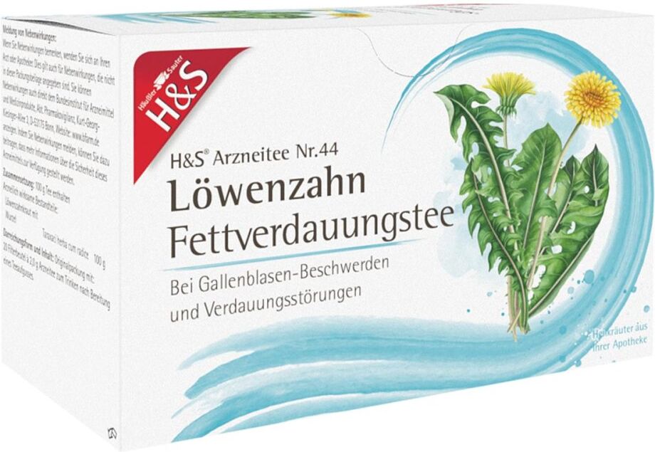 H&S Löwenzahn