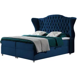 BOXBETT Livia - H3