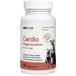 Cardio Regeneration – Unterstützung der normalen Herzfunktion und des Kreislaufsystems, 45 Kapseln