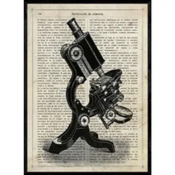 POSTER Mikroskop Spiegel A4 Rahmenlos