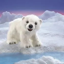 Folkmanis Handpuppe Eisbärenjunges