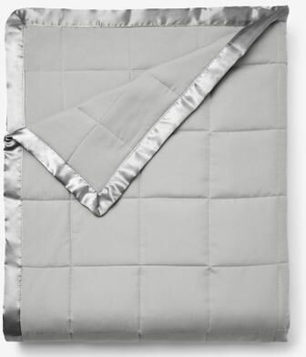 Down-Alternative Blanket by BrylaneHome in Gray (Size TWIN)