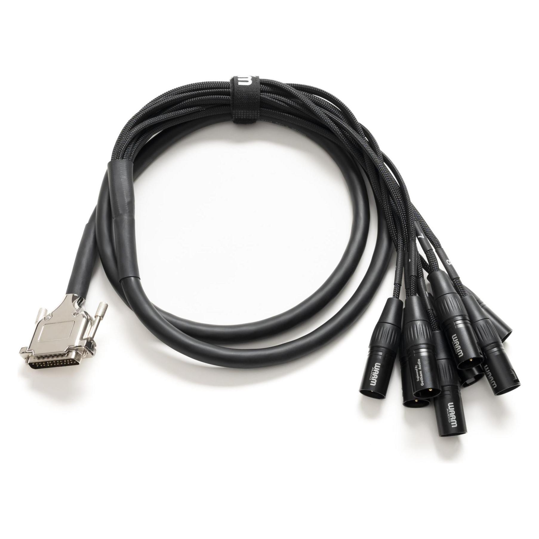 Warm Audio Prem-DB25-XLRm-10 Inch (0.25 m, XLR Kabel) (59392293)