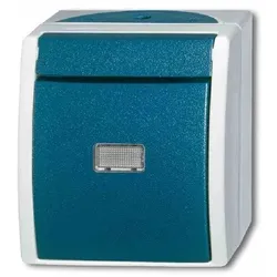 Busch-Jaeger OCEAN Wipptaster, grau/blau-grün, 1W, Aufputz, IP44, ohne Aufdruck, matt