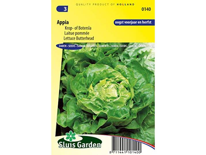 Sla Butterhead Appia