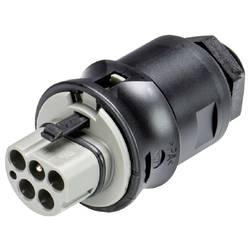 Wieland Electric 96.052.6154.3 Geräteanschluss