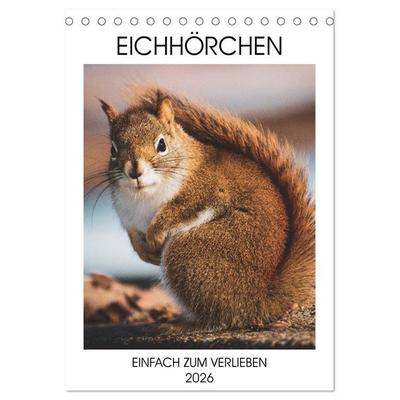 Eichhörnchen - Einfach zum Verlieben (Tischkalender 2026 DIN A5 hoch), CALVENDO Monatskalender