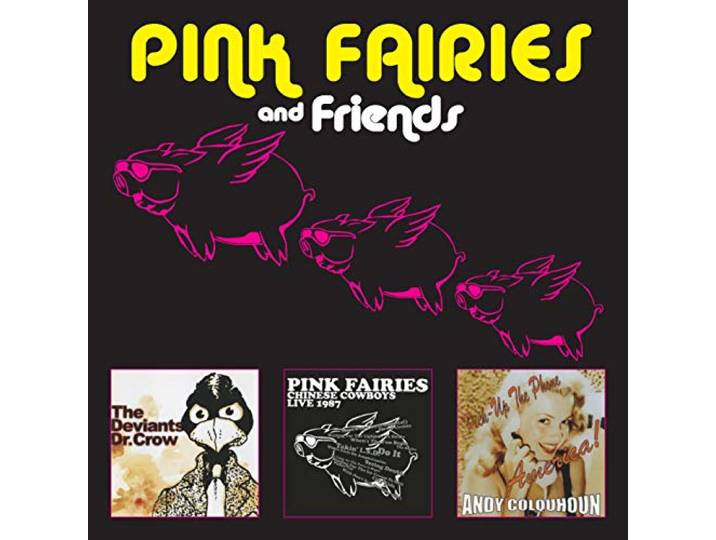 Pink Fairies - Pink Fairies And Friends