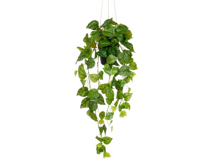 Kunstpflanze Philodendron Hederaceum Grün ca. 75cm
