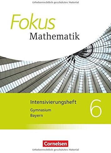 Brigitte Distel - Fokus Mathematik - Bayern - Ausgabe 2017: 6. Jahrgangsstufe - Intensivierungssheft mit Lösungen - Preis vom 09.10.2026 07:28:09 h