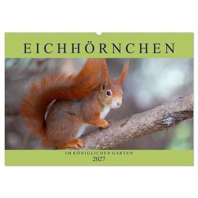 Eichhörnchen im Königlichen Garten (Wandkalender 2027 DIN A2 quer), CALVENDO Monatskalender