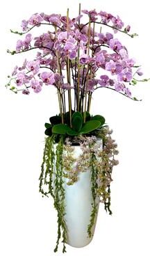 Creative Labs Orchid and Amaranthus Arranged in Fiberstone Planter