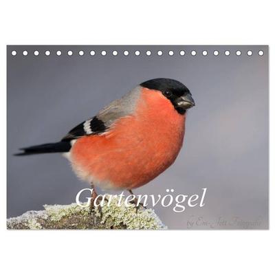 Vögel aus dem Garten (Tischkalender 2027 DIN A5 quer), CALVENDO Monatskalender