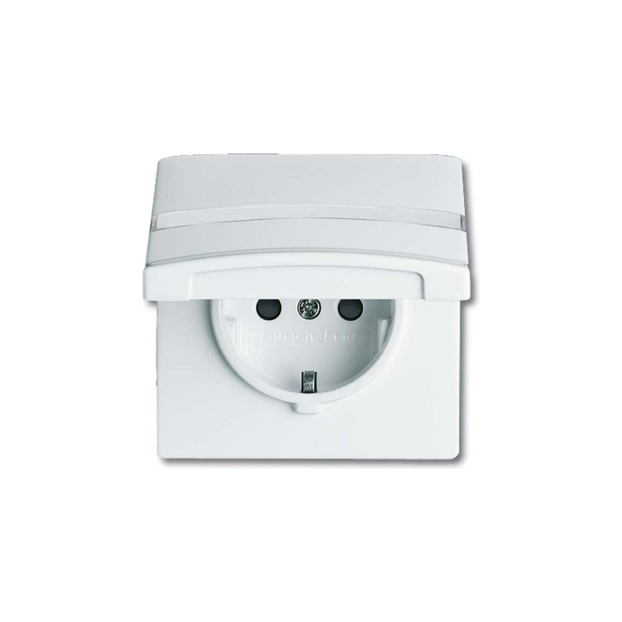 Busch-Jaeger Schuko-Steckdoseneinsatz IP44 alpinweiß 20 EUGKBN-34-101 (2CKA002064A0301)