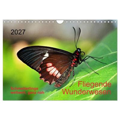 Fliegende Wunderwesen. Schmetterlinge weltweit, ganz nah (Wandkalender 2027 DIN A4 quer), CALVENDO Monatskalender